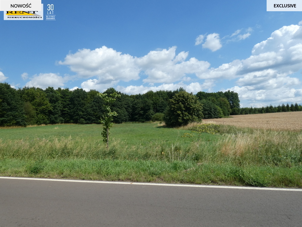 Działka budowlana w Dębicy k.Maszewa (6)