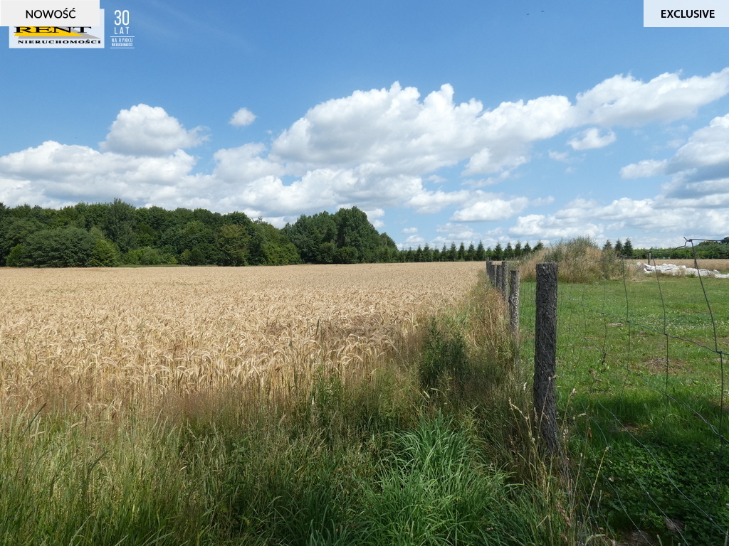 Działka budowlana w Dębicy k.Maszewa (4)
