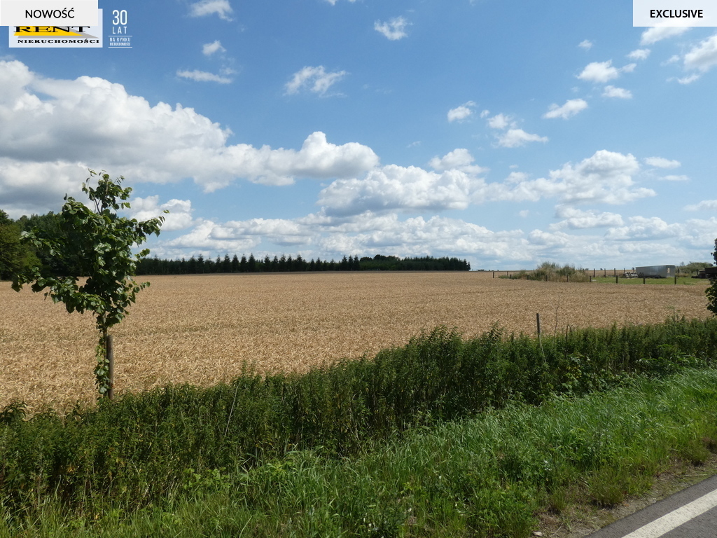 Działka budowlana w Dębicy k.Maszewa (5)