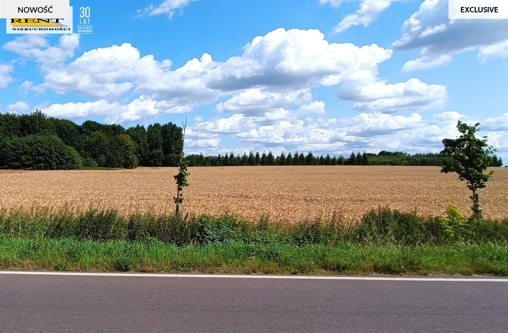 Działka budowlana w Dębicy k.Maszewa (9)