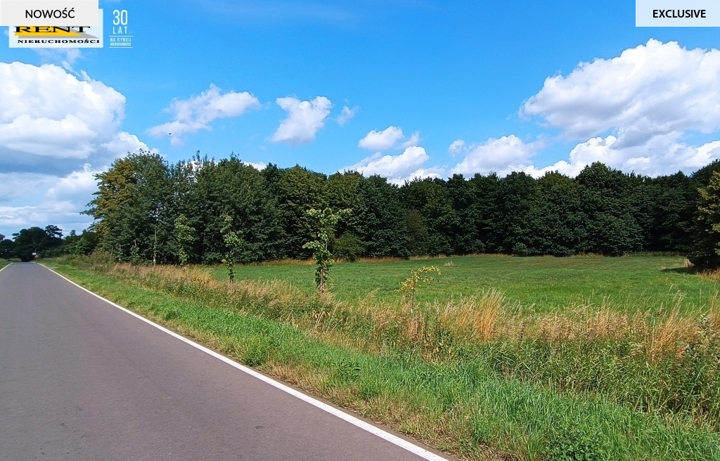 Działka budowlana w Dębicy k.Maszewa (7)