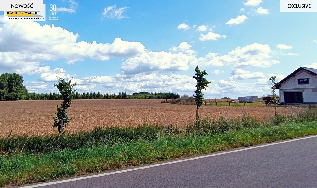 Działka budowlana w Dębicy k.Maszewa (2)