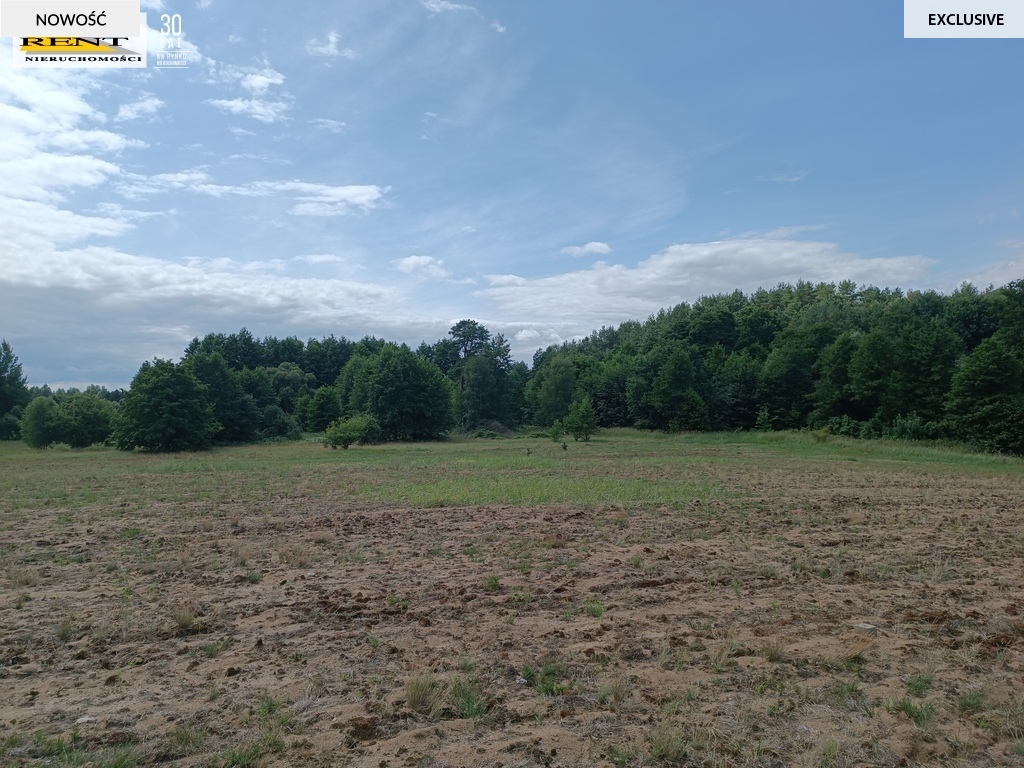 Działki w miejscowości Długie (2)