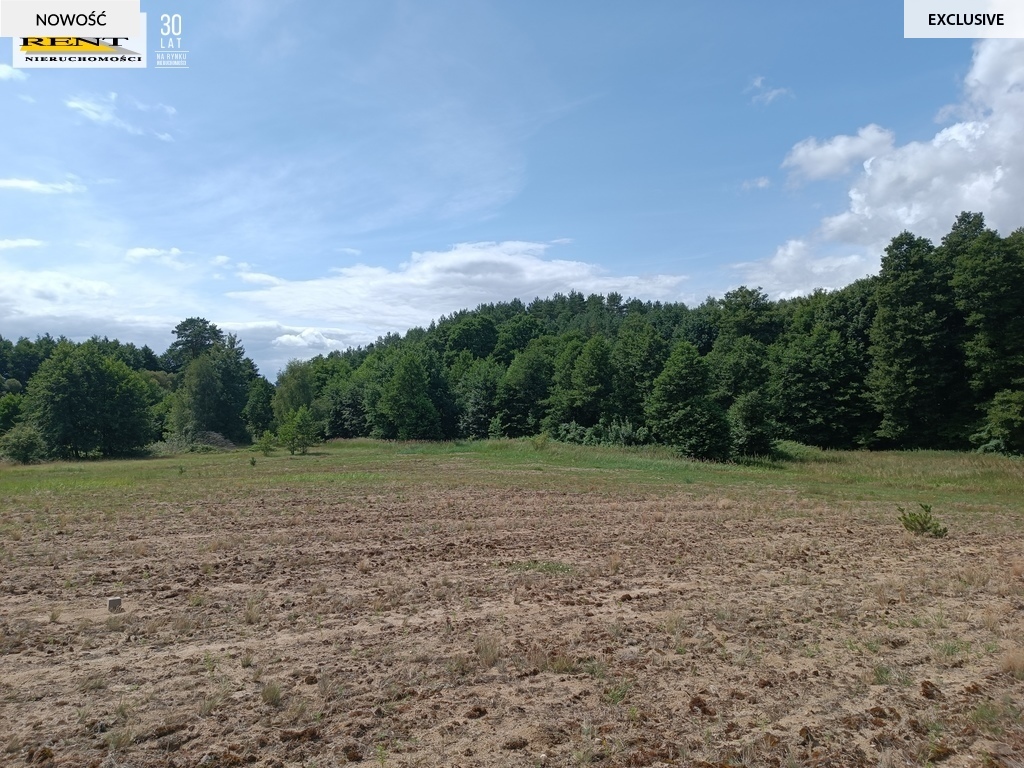 Działki w miejscowości Długie (5)