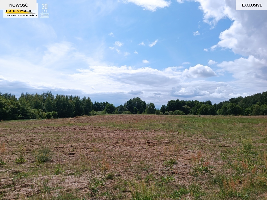 Działki w miejscowości Długie (9)