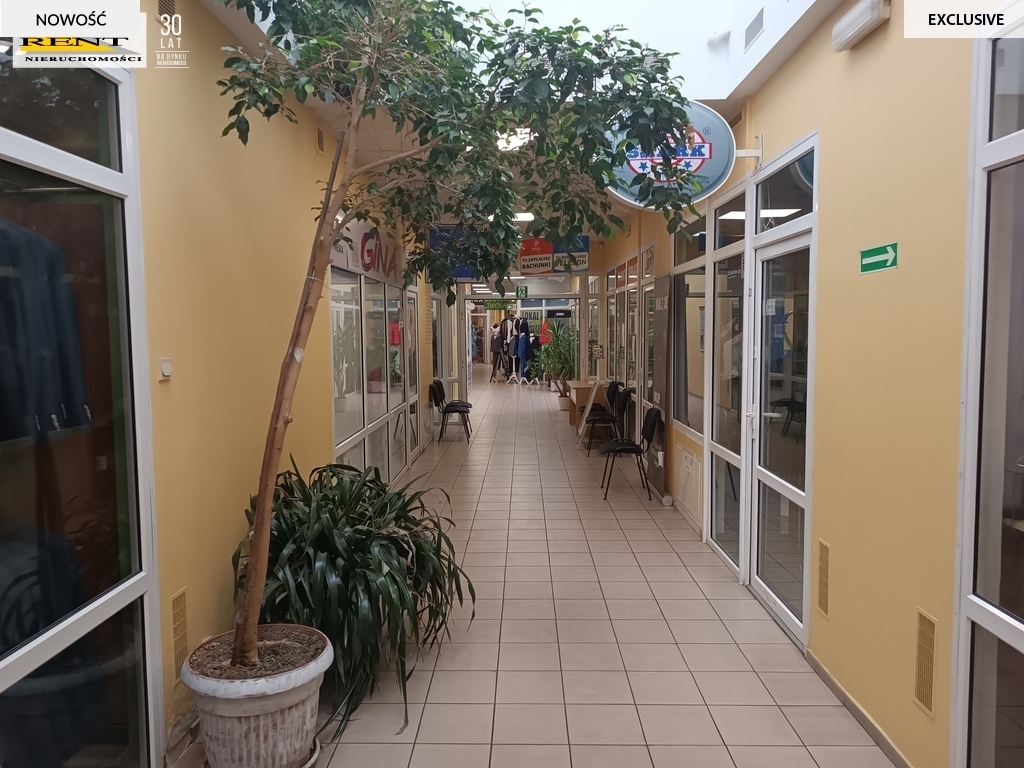 Lokal handlowo usługowy w centrum Stargardu (4)