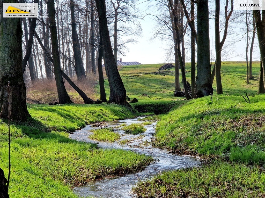 Działka z widokiem na jezioro, 100m do plaży (9)