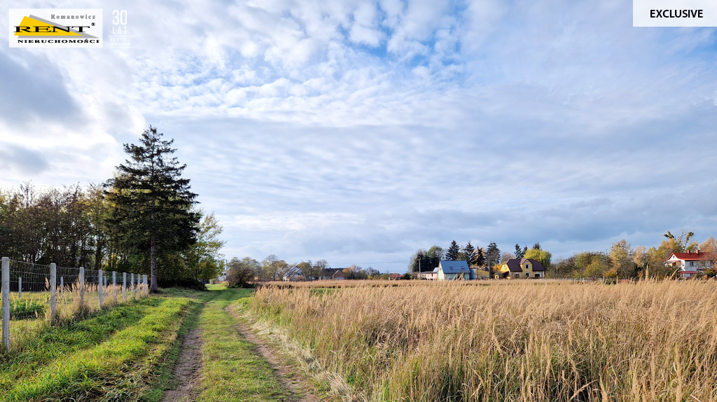 Duże działki nad Odrą, pod lasem Piasek - Cedynia! (1)