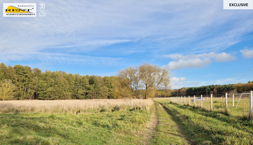 Duże działki nad Odrą, pod lasem Piasek - Cedynia! (2)