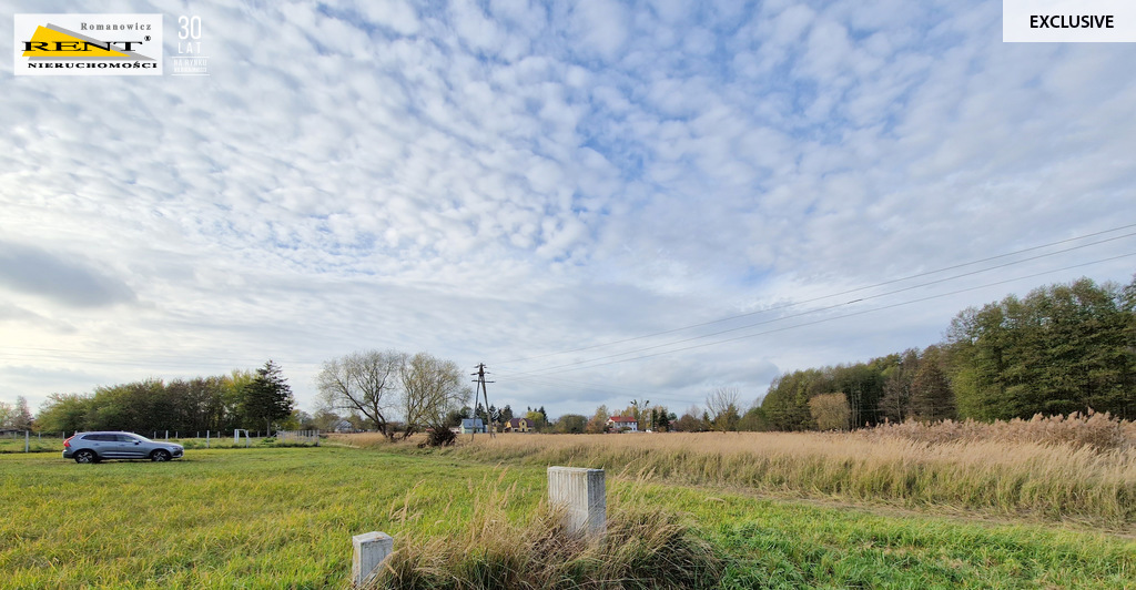 Duże działki nad Odrą, pod lasem Piasek - Cedynia! (3)