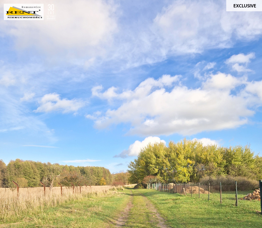 Duże działki nad Odrą, pod lasem Piasek - Cedynia! (4)