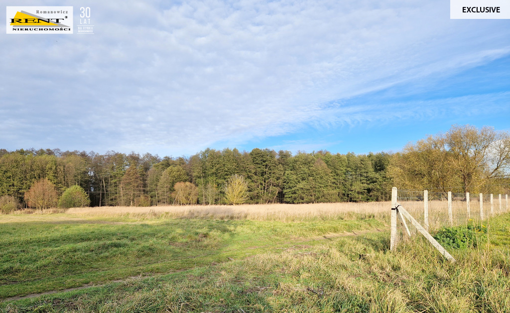 Duże działki nad Odrą, pod lasem Piasek - Cedynia! (5)