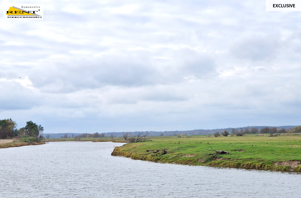 Duże działki nad Odrą, pod lasem Piasek - Cedynia! (6)