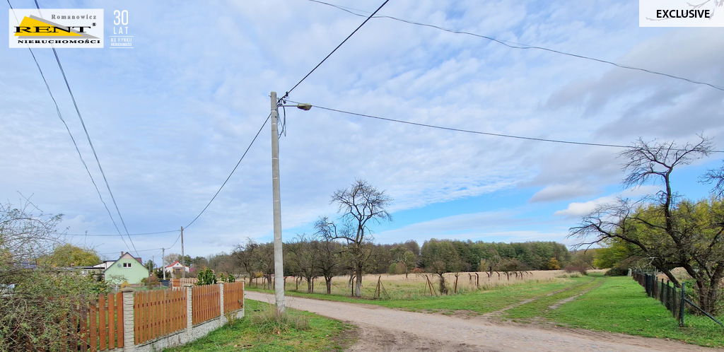 Duże działki nad Odrą, pod lasem Piasek - Cedynia! (7)