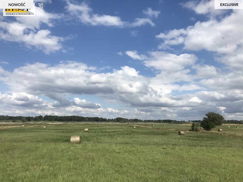 Działka,teren,grunt,ziemia, jezioro pod Pyrzycami (6)