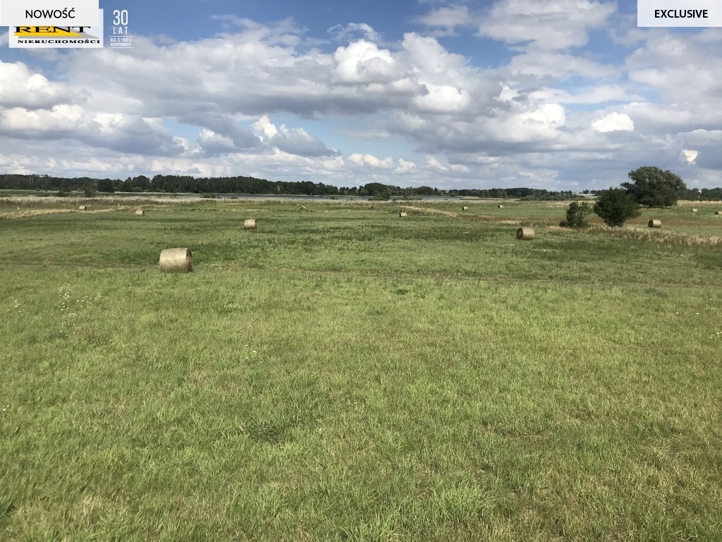 Działka,teren,grunt,ziemia, jezioro pod Pyrzycami (8)