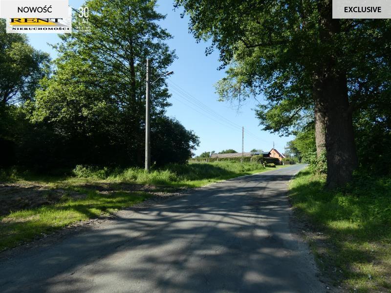 Działka z warunkami zabudowy w pobliżu rzeki lasu (9)