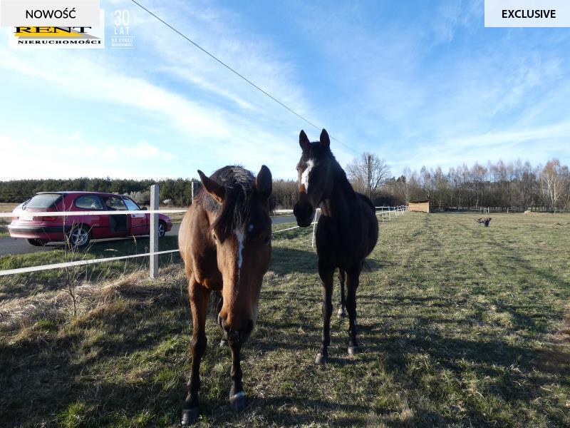 Działka z warunkami zabudowy w pobliżu rzeki lasu (10)