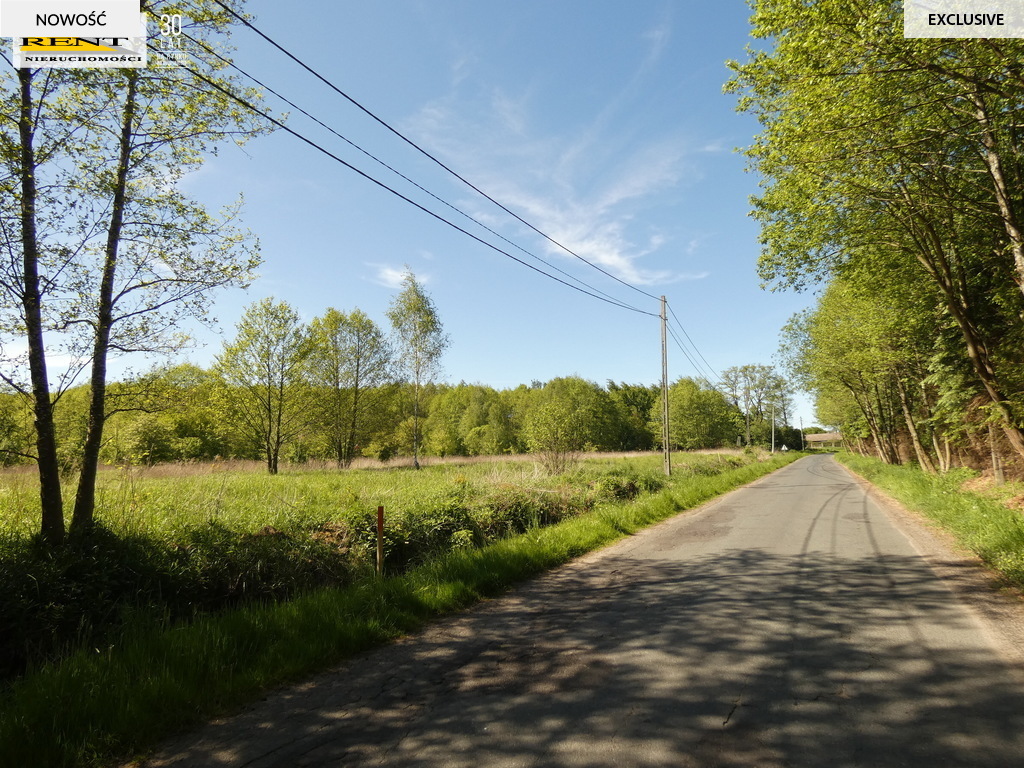 Działka z warunkami zabudowy w pobliżu rzeki lasu (1)