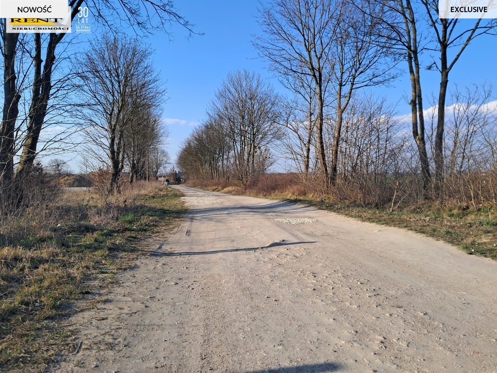 Witkowo- działki pod zabudowę mieszkaniową (8)