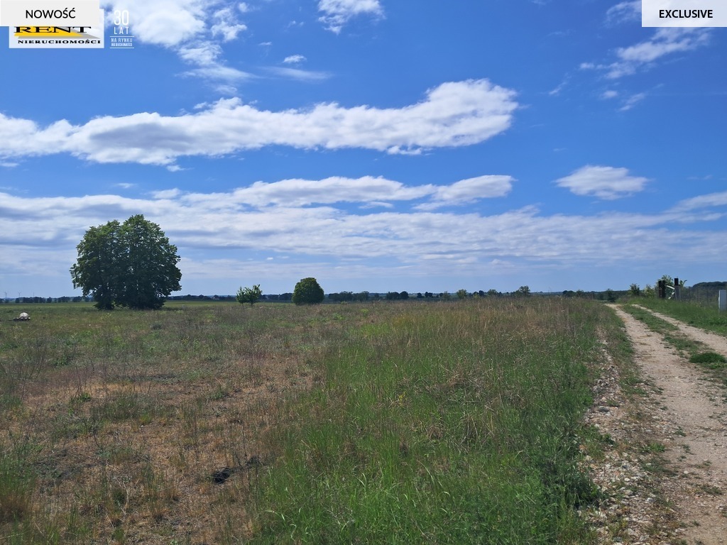 Witkowo- działki pod zabudowę mieszkaniową (1)