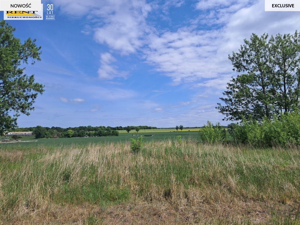 Witkowo- działki pod zabudowę mieszkaniową (2)