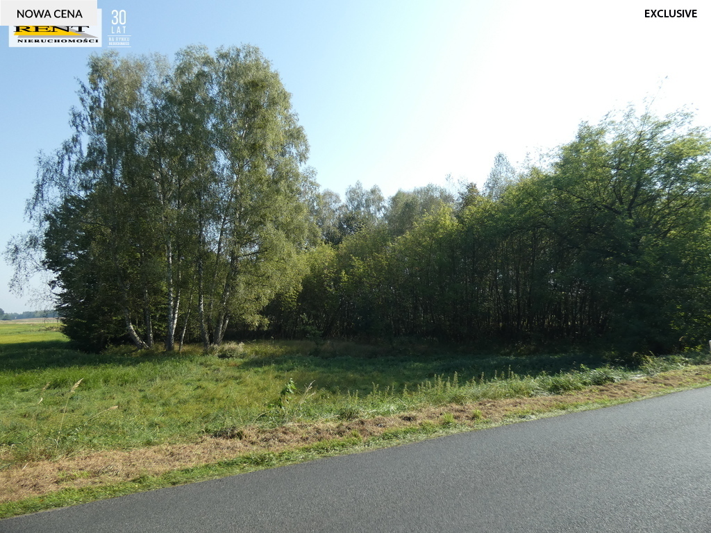 Duża działka z bujną zielenią  blisko miasta (6)
