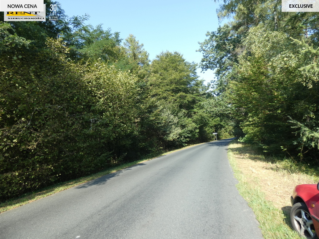 Duża działka z bujną zielenią  blisko miasta (8)