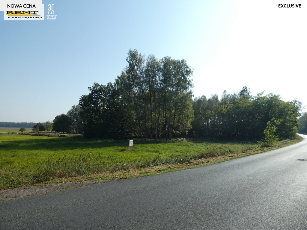 Duża działka z bujną zielenią  blisko miasta (1)