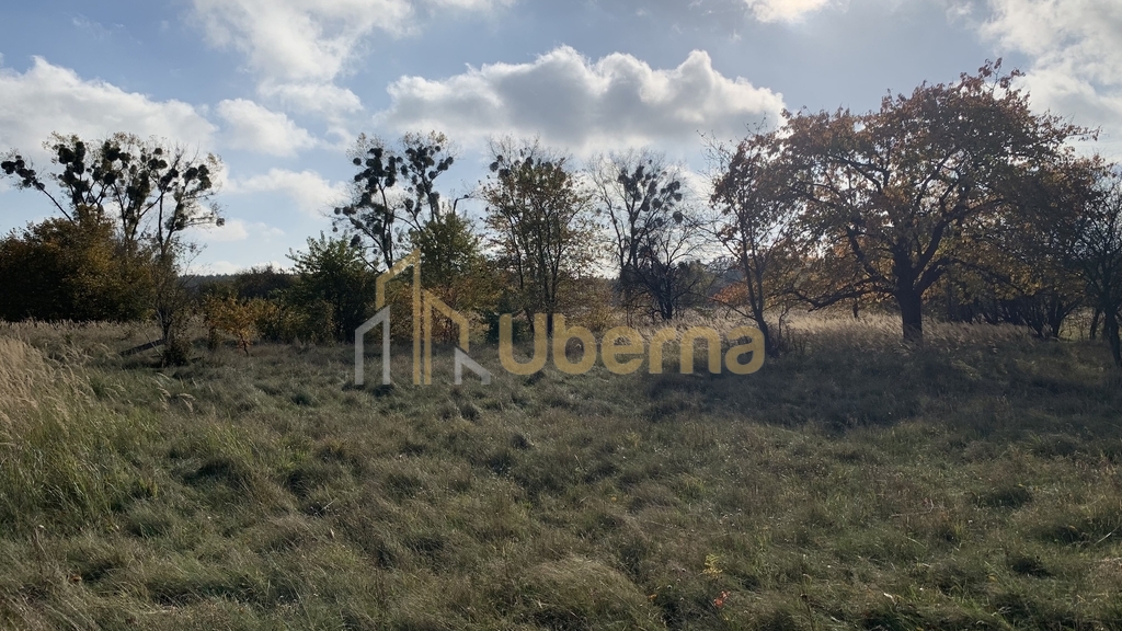 Działka na sprzedaż 2006 m2 (3)