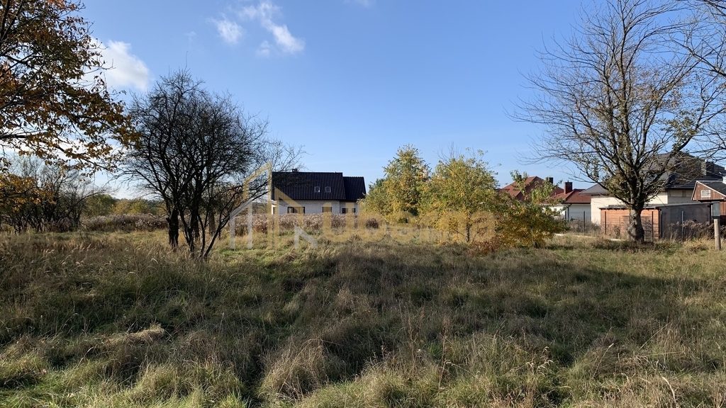 Działka na sprzedaż 2006 m2 (2)