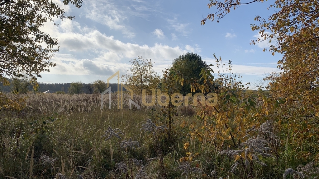 Działka na sprzedaż 2006 m2 (6)