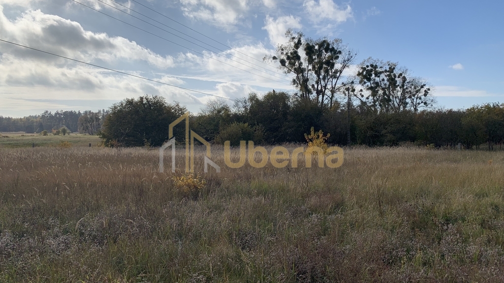 Działka na sprzedaż 2006 m2 (7)