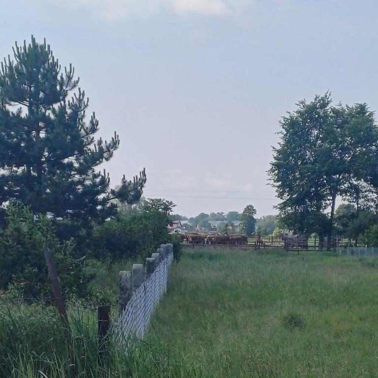 2 Działki W Stepnicy nad zalewem (3)