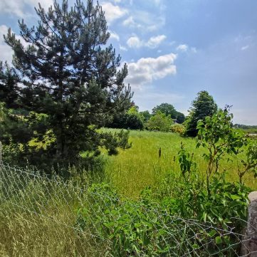 2 Działki W Stepnicy nad zalewem (4)