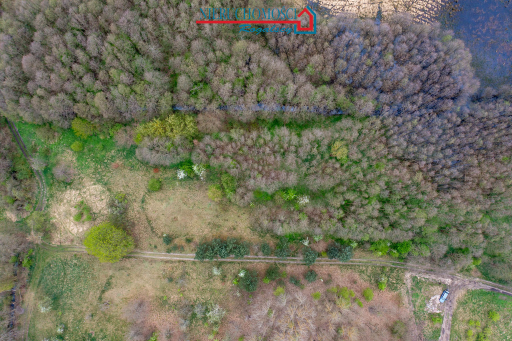 Wyjątkowa działka rolna w sercu wsi Rabiąż (1)
