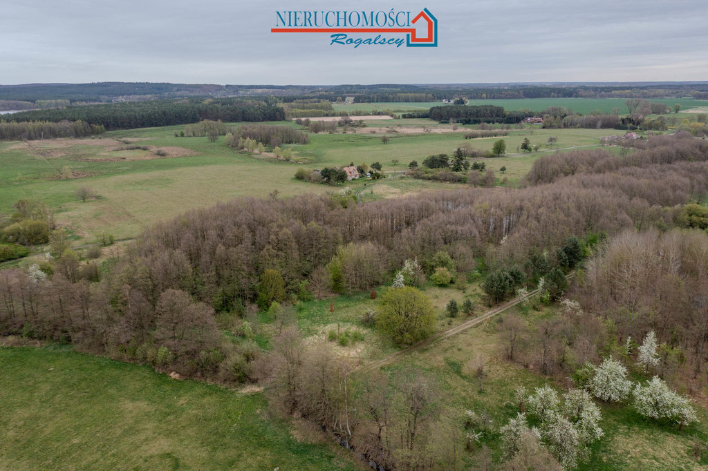 Wyjątkowa działka rolna w sercu wsi Rabiąż (5)