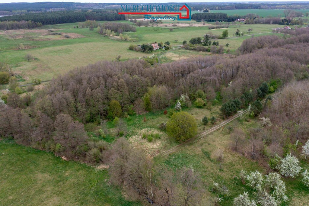 Wyjątkowa działka rolna w sercu wsi Rabiąż (6)