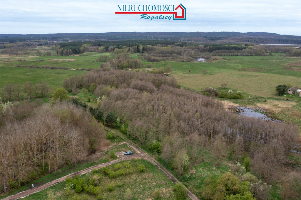 Wyjątkowa działka rolna w sercu wsi Rabiąż (7)