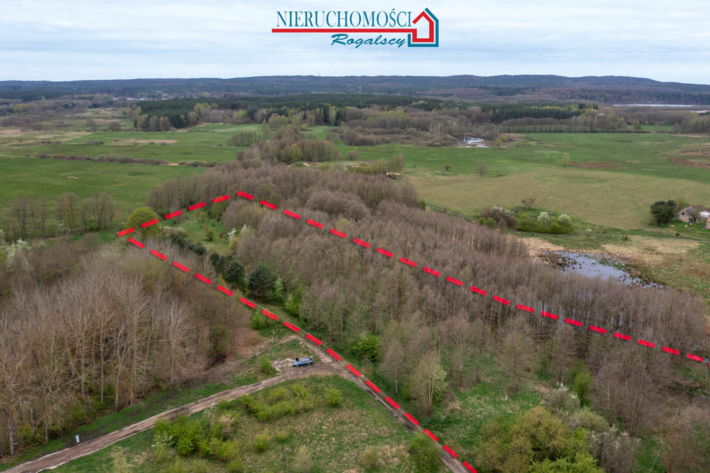 Wyjątkowa działka rolna w sercu wsi Rabiąż (3)