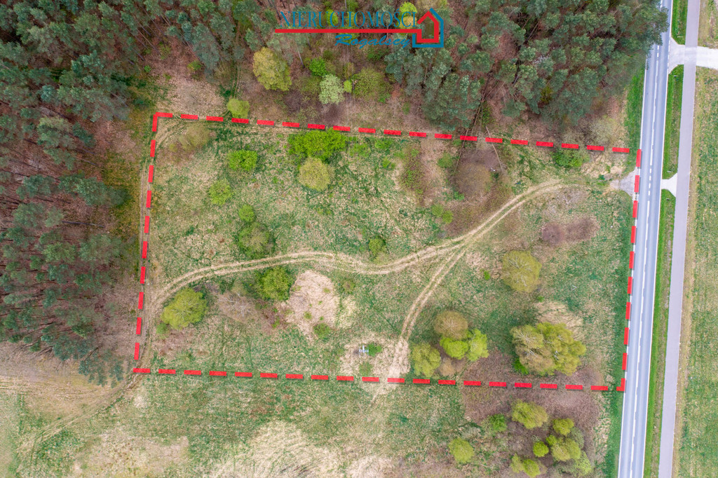 Duża działka w Kołczewie przy jeziorze Koprowo (3)