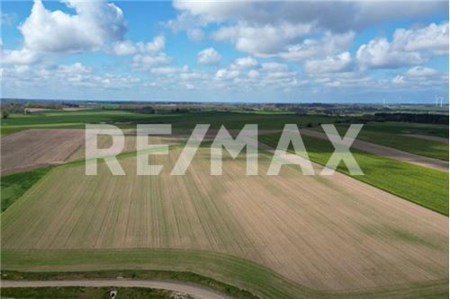 8,9 ha w Niemierzu z potencjałem! (7)