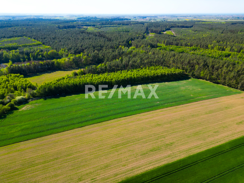 3,8 ha w Charzynie koło Kołobrzegu z potencjałem! (1)