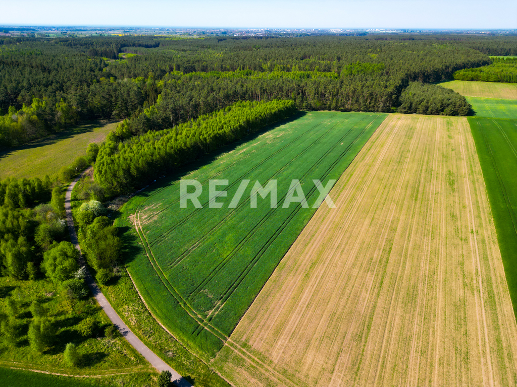 3,8 ha w Charzynie koło Kołobrzegu z potencjałem! (2)