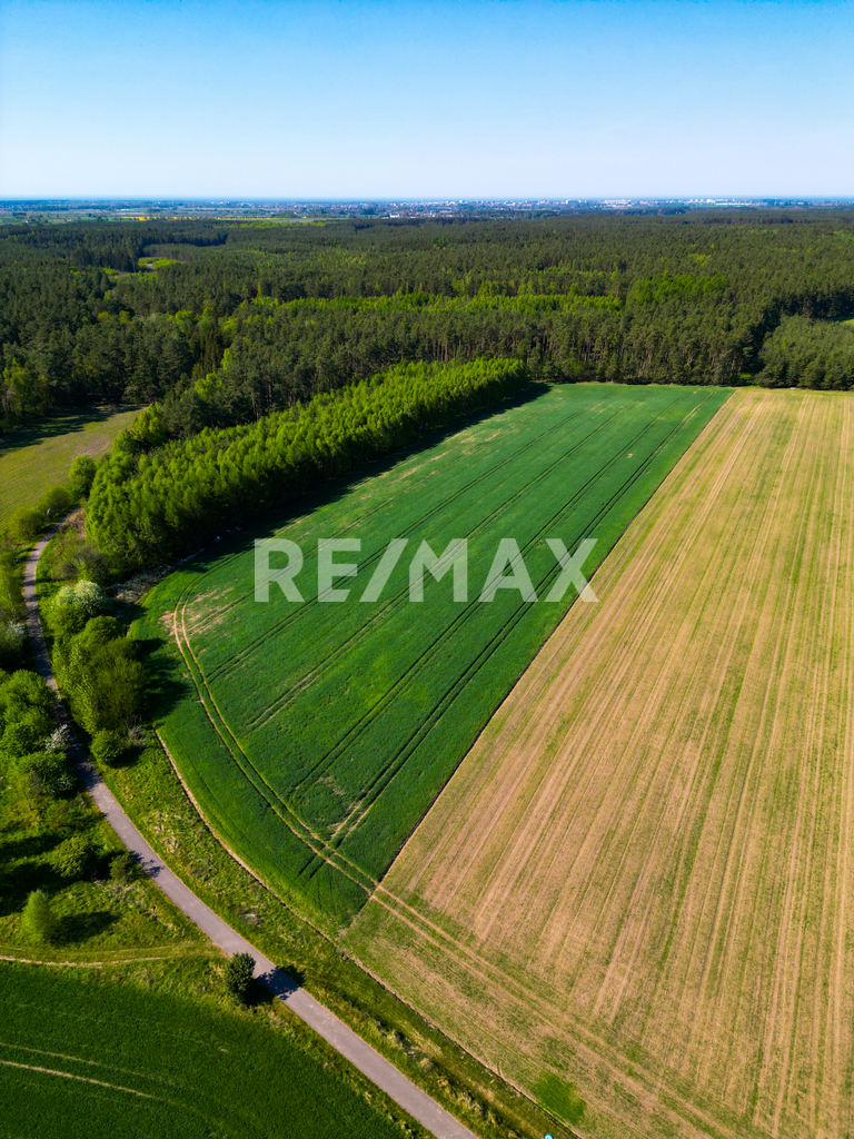 3,8 ha w Charzynie koło Kołobrzegu z potencjałem! (3)