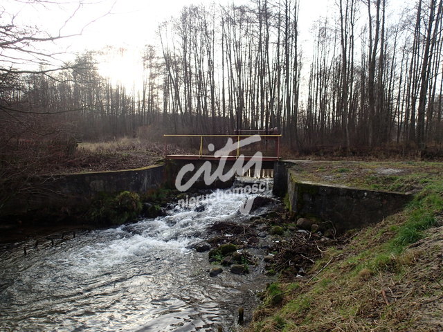 Młyn z możliwością zrobienia np. hotelu, zajazdu (4)