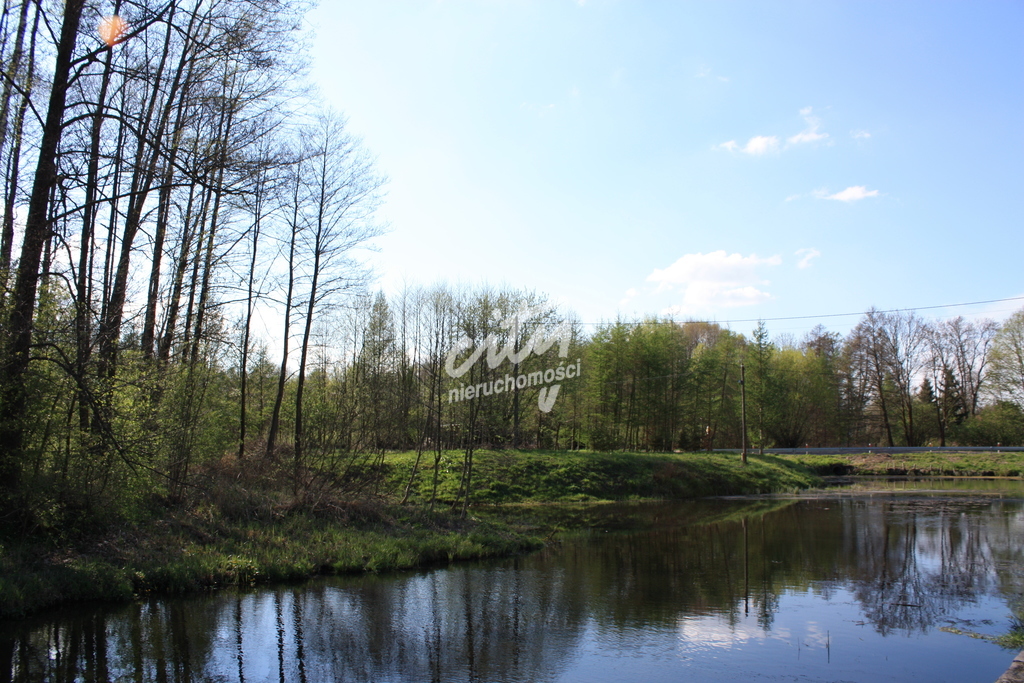 Młyn z możliwością zrobienia np. hotelu, zajazdu (11)