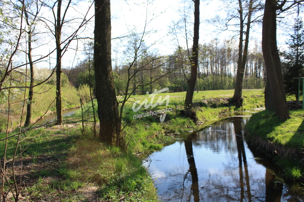 Młyn z możliwością zrobienia np. hotelu, zajazdu (13)