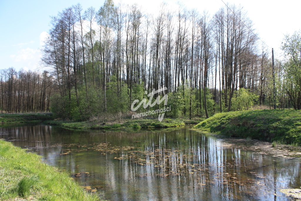Młyn z możliwością zrobienia np. hotelu, zajazdu (15)