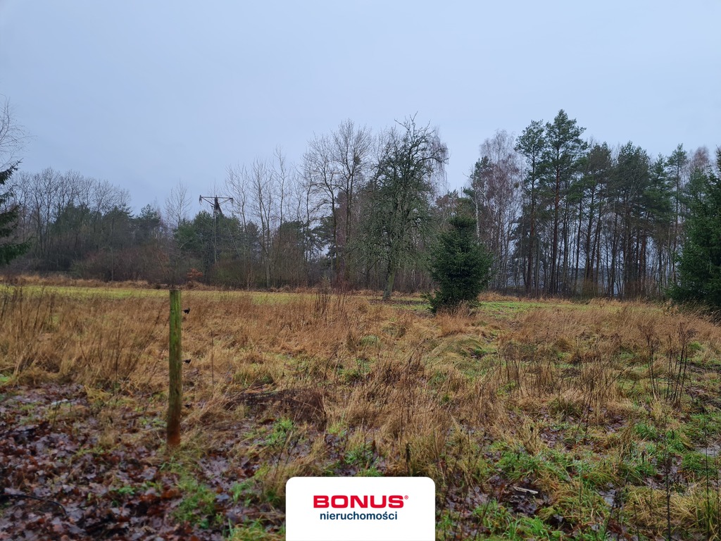 Duża działka z wydanymi warunkami zabudowy w Płoni (3)